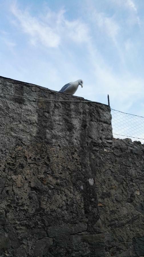 Il Nido Dei Gabbiani Porto Venere Exterior foto